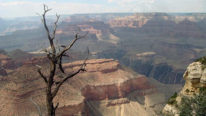 Die tiefe Schlucht des Grand Canyon in Arizona (South Rim)