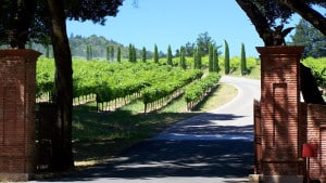 Eingang zu einem kalifornischen Weingut im Napa Valley