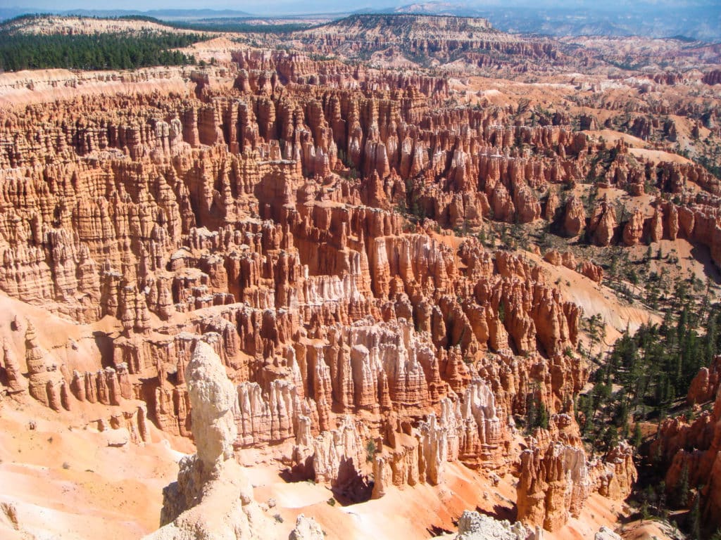 Bryce Canyon Hoodoos