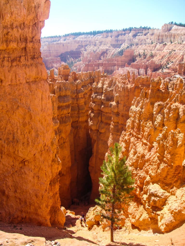 Bryce Canyon Hoodoos