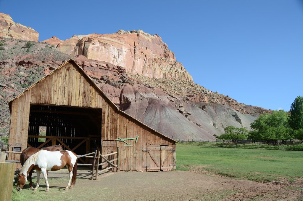 Capitol Reef NP mit einer Farm