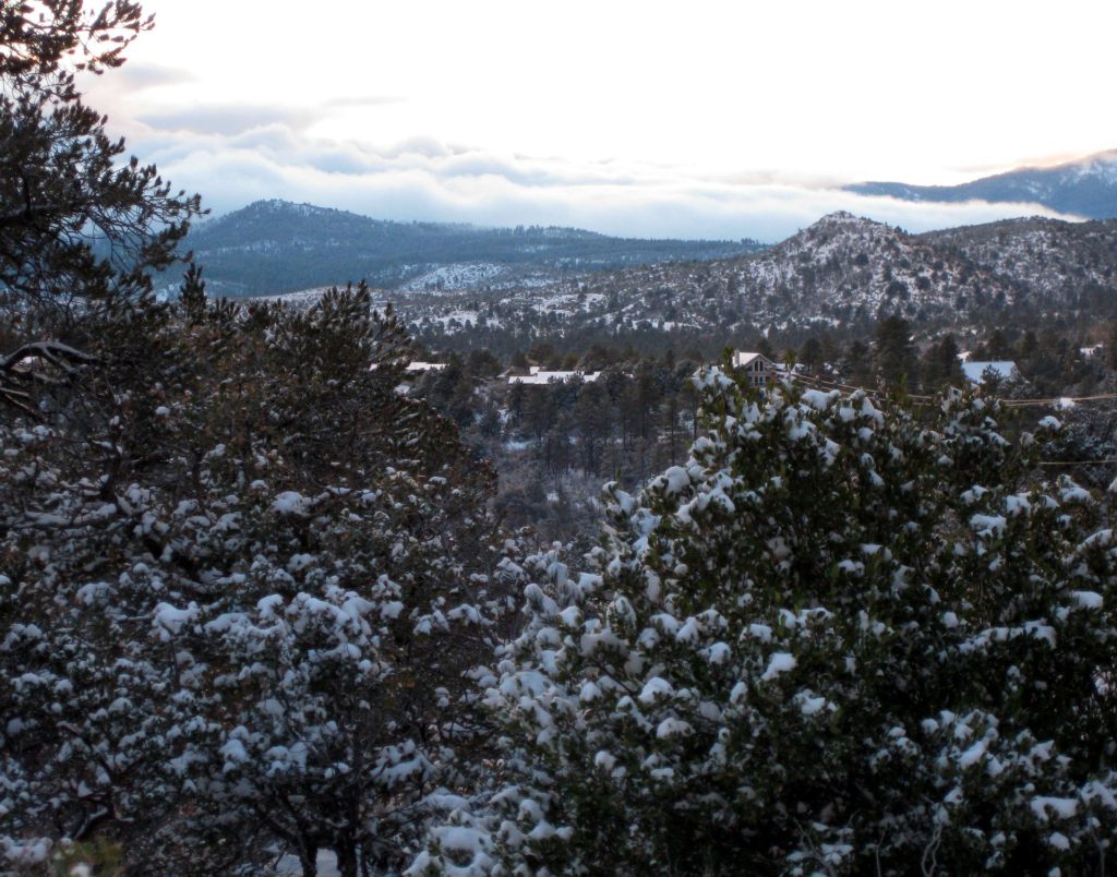 Prescott National Forest in Arizona zur Winterzeit.