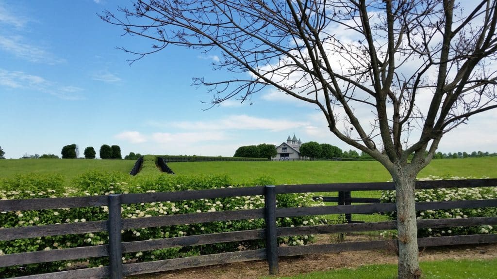 Die schönen Farmen in Kentucky