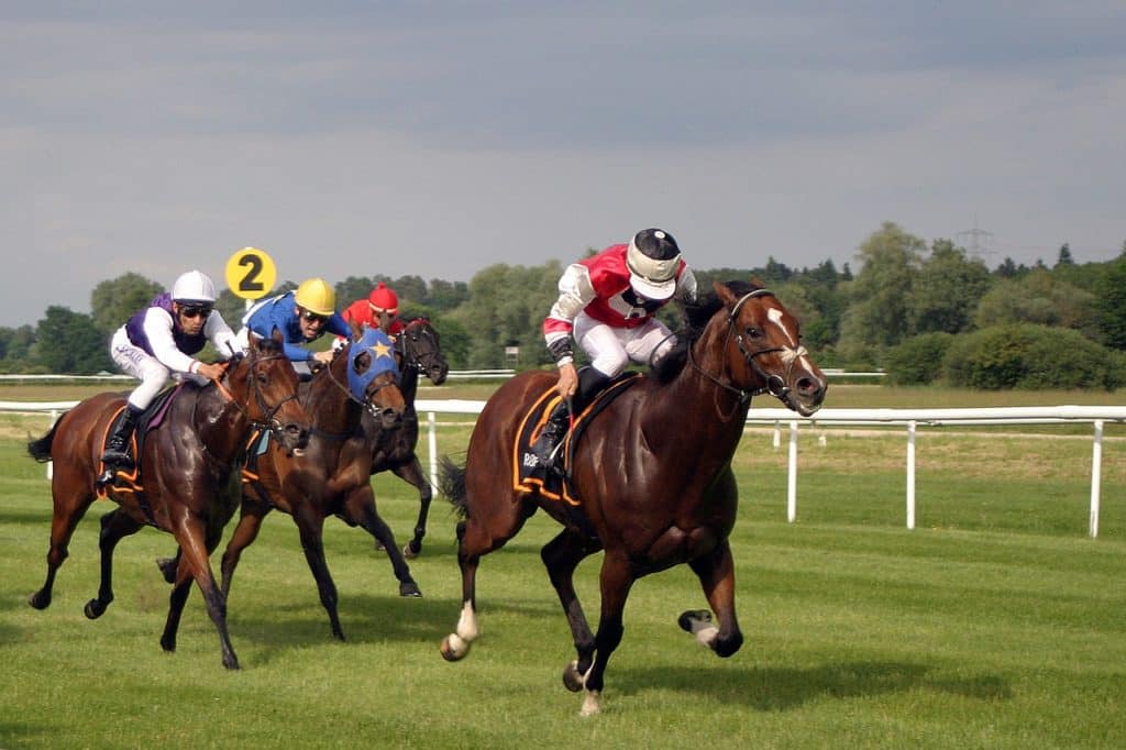 Pferderennen Kentucky Derby