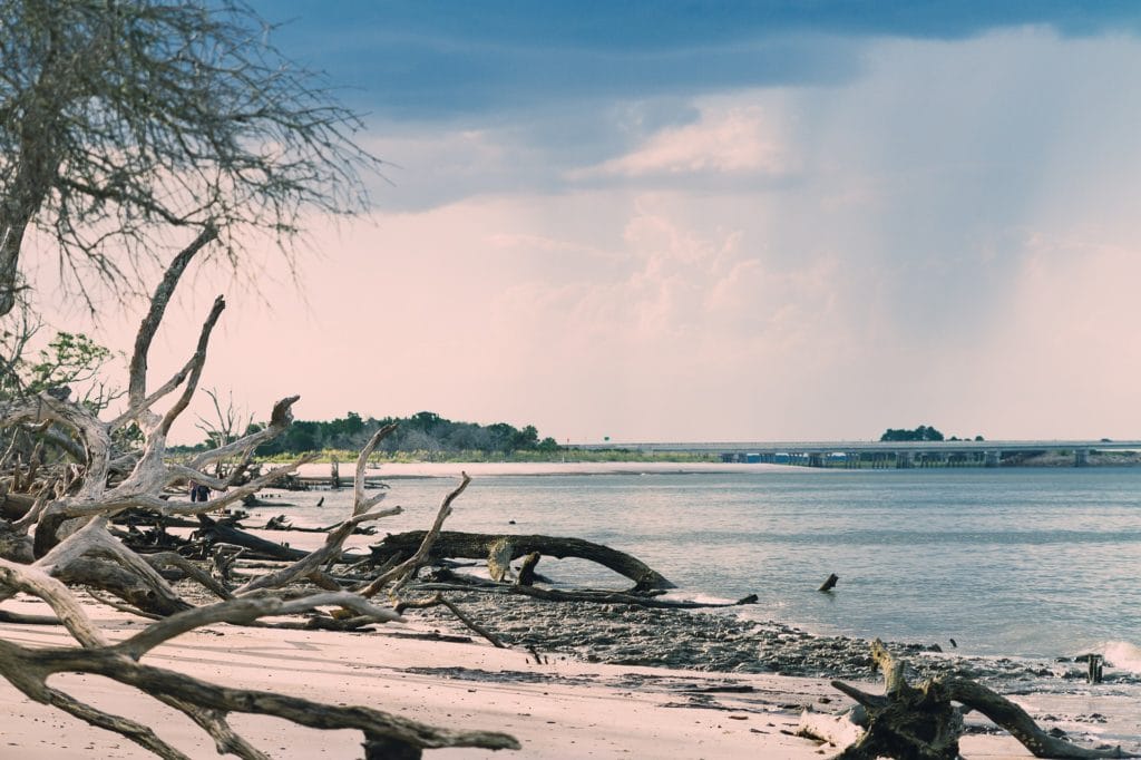 Talbot Island Beach in Jacksonville, Florida